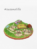 #susonolife