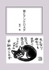 猫とアンドロメダ