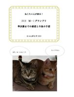 ねこちゃんが語る!2019 M-1グランプリ 準決勝までの感想と今後の予想