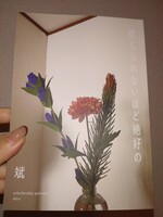信じられないほど絶好の