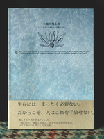 火種の残る夜