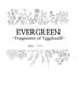 EVERGREEN -Fragments of Yggdrasill-