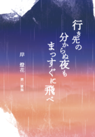 行き先の分からぬ夜もまっすぐに飛べ