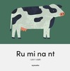Ru mi na nt