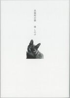 水栽培の猫