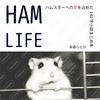 HAM LIFE