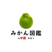 みかん図鑑 in 中国その1