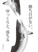 勝ち目がない、ゆっくりと、落ちる