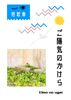 ご陽気のかけら