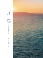 片恋—BL掌編短歌集