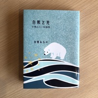 白熊と光