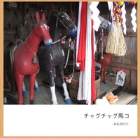 岩手選択無形民俗文化財『チャグチャグ馬コ』写真集