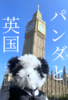 パンダと英国 ぬいぐるみと行く英国旅行記