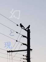 幻と現