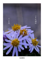 句集 瓦礫野