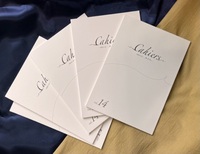 Cahiers vol.14