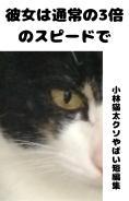 彼女は通常の3倍のスピードで〜小林猫太クソやばい短編集ー