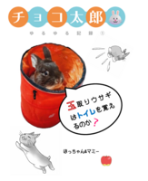 チョコ太郎ゆるゆる記録