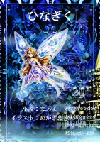 ひなぎく