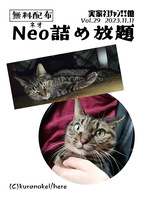 Neo詰め放題Vol.29