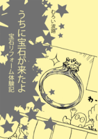 うちに宝石が来たよ