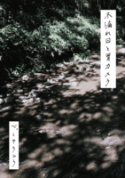 木漏れ日と胃カメラ