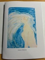 Collection of illustrations