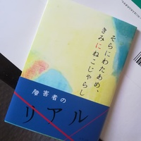 そらにわたあめ、きみにねこじゃらし