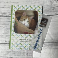 きょうのにゃん太