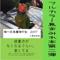 【鳥散歩】掛川花鳥園旅行記2017