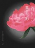 華と影