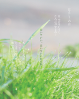 葉書