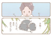 まいにち、あんこ