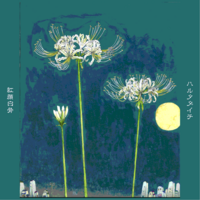 紅顔白骨