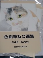 色鉛筆画ねこ画集