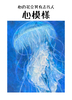 心模様