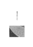 銀杏の拾いかた