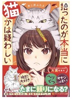 拾ったのが本当に猫かは疑わしい
