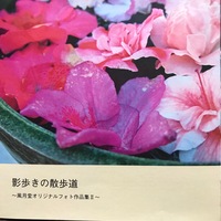 影歩きの散歩道〜風月堂オリジナルフォト作品2