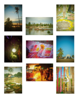 Postcard zine from Wonderfruit