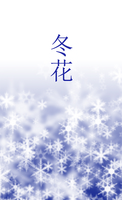 冬花