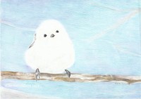 色鉛筆画のポストカード各種