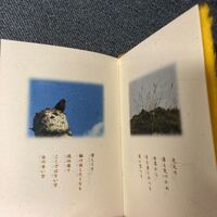 日々
