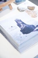 銀色のばら、仄白い砂