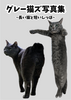 グレー猫ズ写真集~長い猫と短いしっぽ~