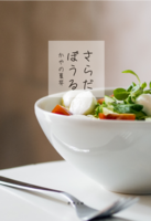 さらだぼうる