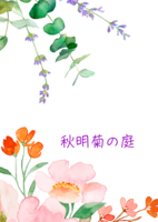 秋明菊の庭