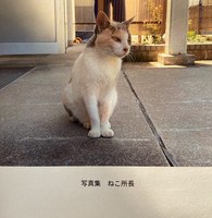 写真集 ねこ所長