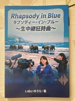 新装版「ラプソディー・イン・ブルー」