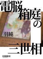電脳箱庭の三世相